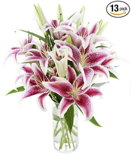 KaBloom PRIME ORVERNIGHT DELIVERY - Whispering Sympathy Bouquet of 13 Pink stargazer lily With Vase